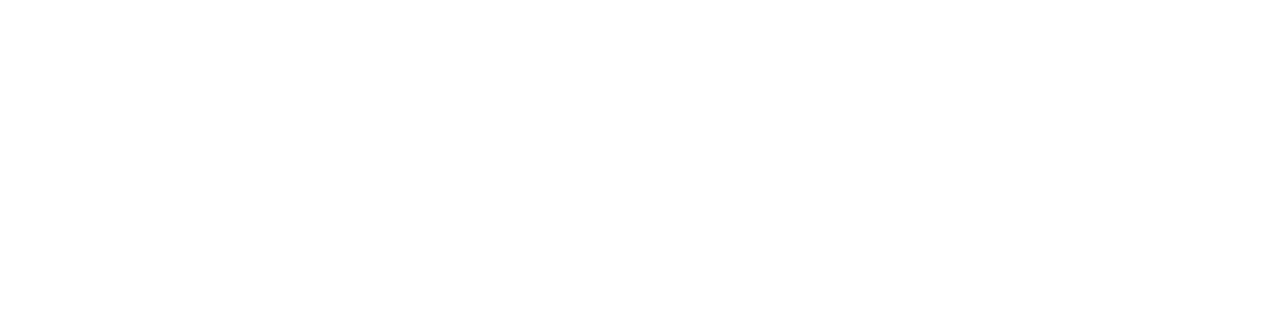 SCHAEFER & WUNSCH
